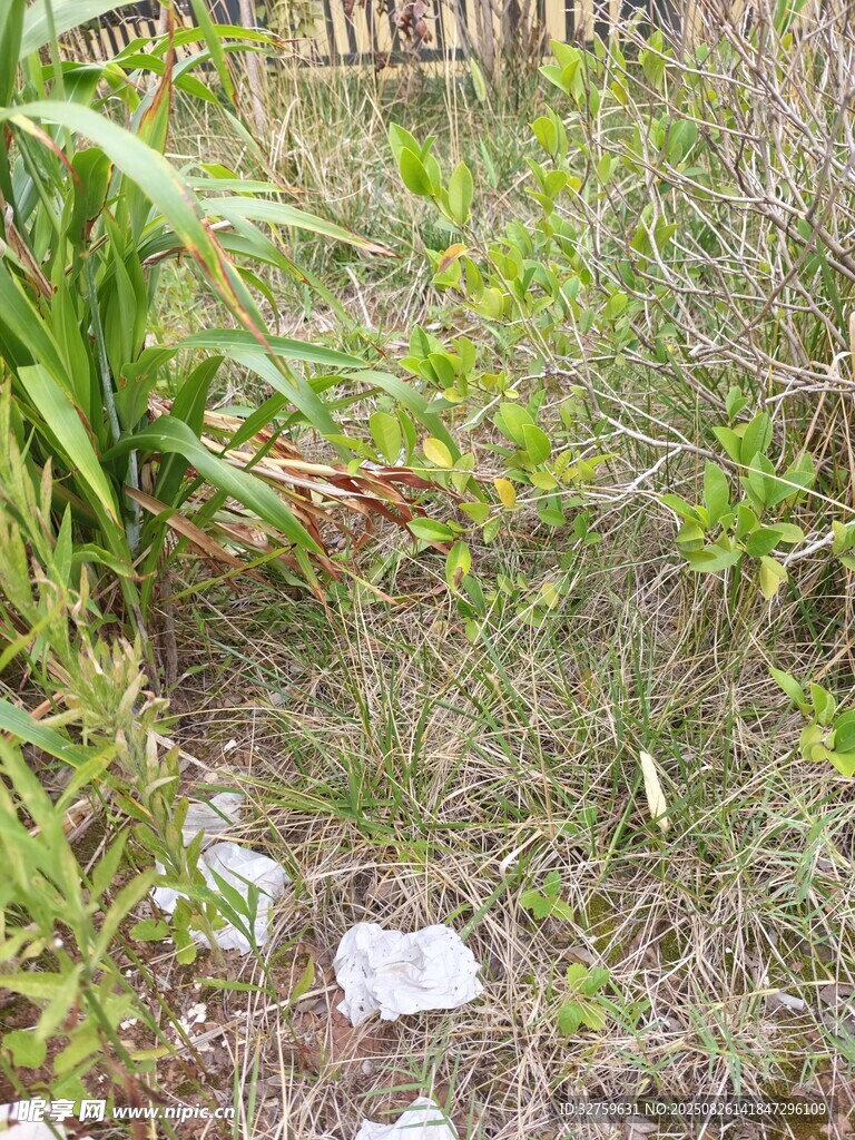 草丛中的垃圾场景
