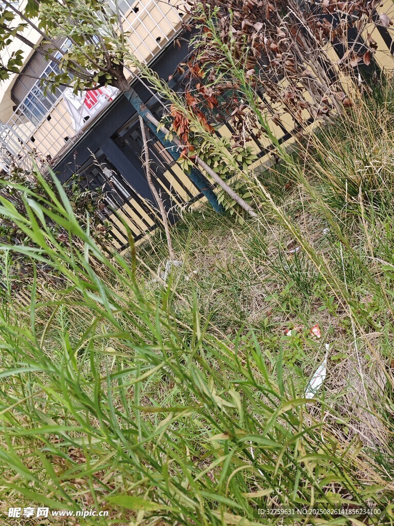 户外草地旁的竹制围栏