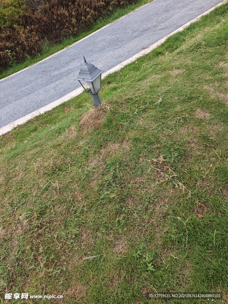 路边草地中的标志牌