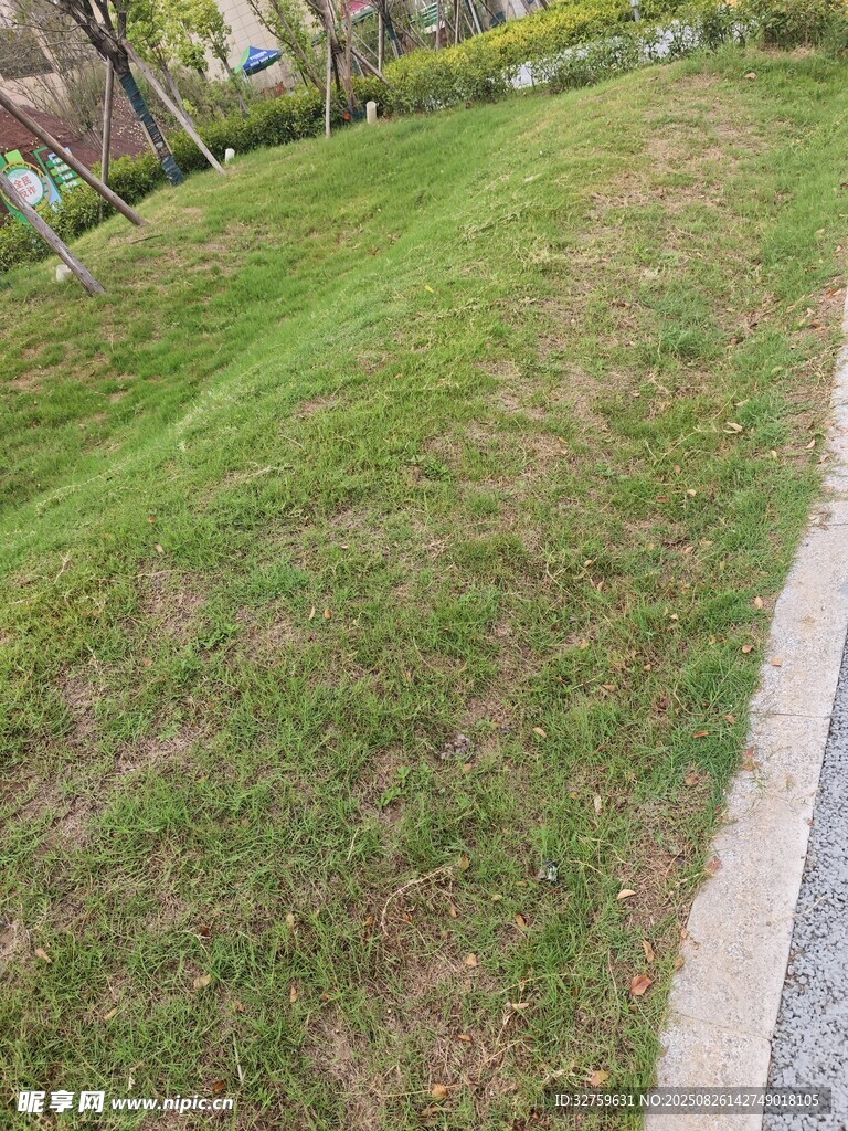 小区内的翠绿草坪景观