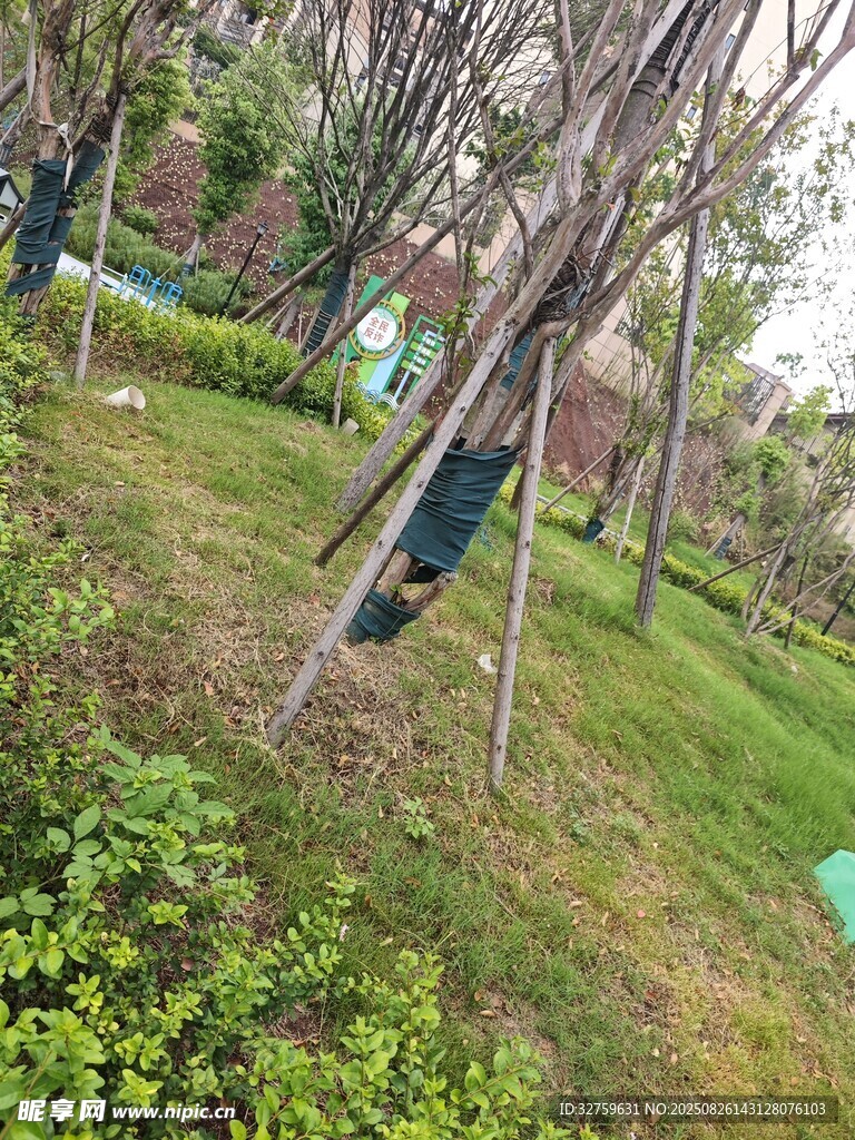 林间吊床享悠闲时光