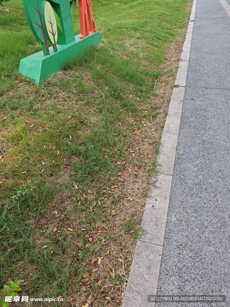 路边草地与绿植景观