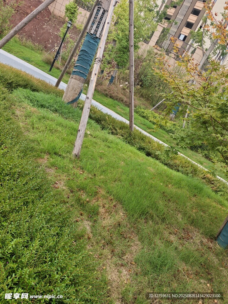 户外草地中的金属杆装置