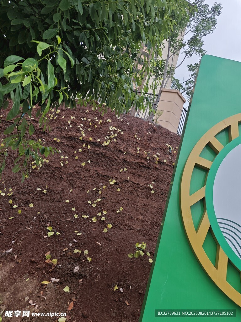 绿色标识旁的植被景观