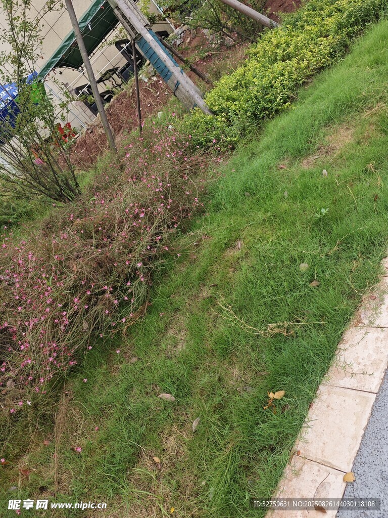 户外绿植景观一角
