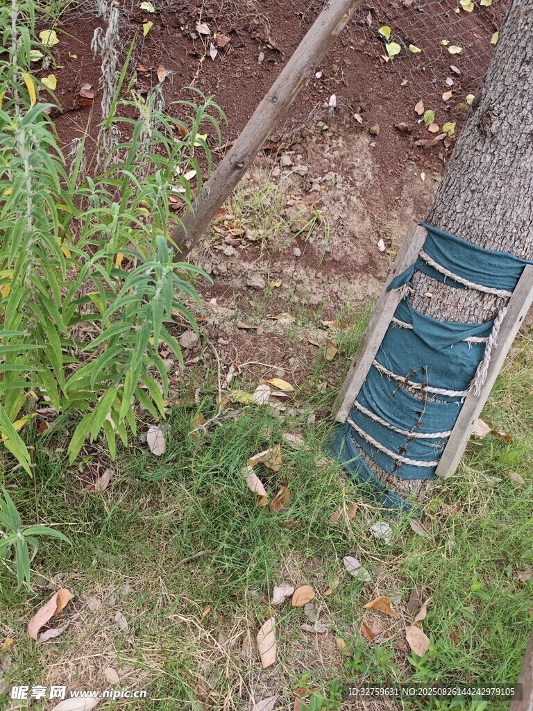 路边废弃的蓝色条纹桶