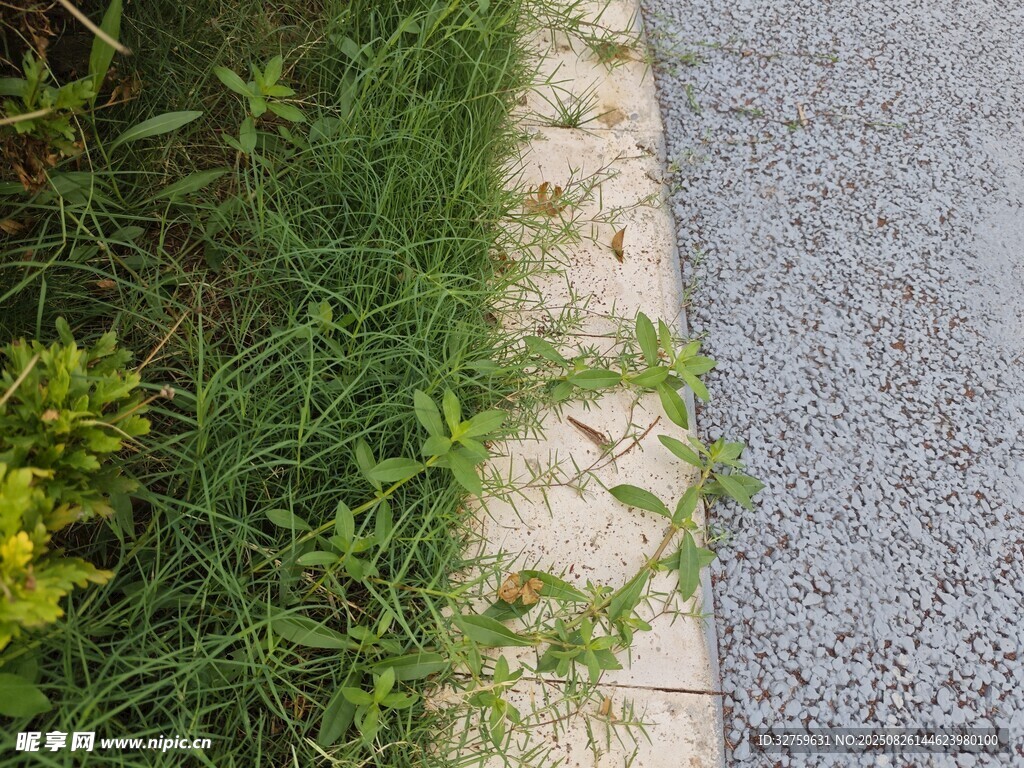 路边草地与碎石路面景象