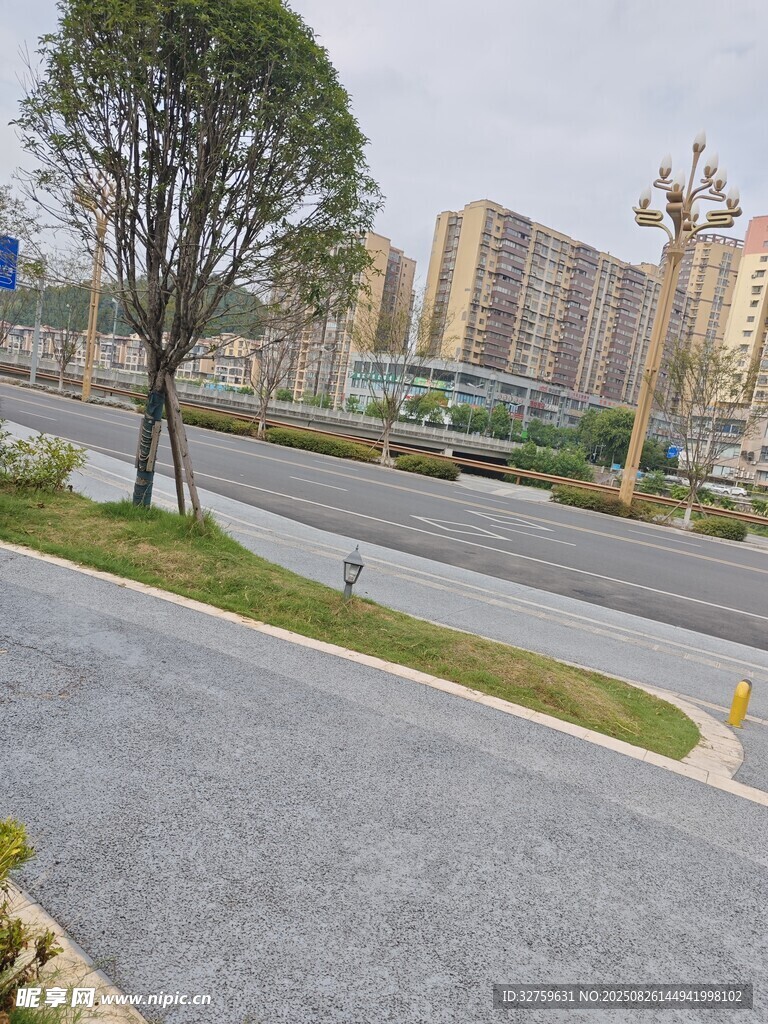 城市道路旁的绿化景观
