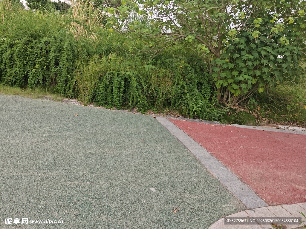 小区彩色路面与绿植景观