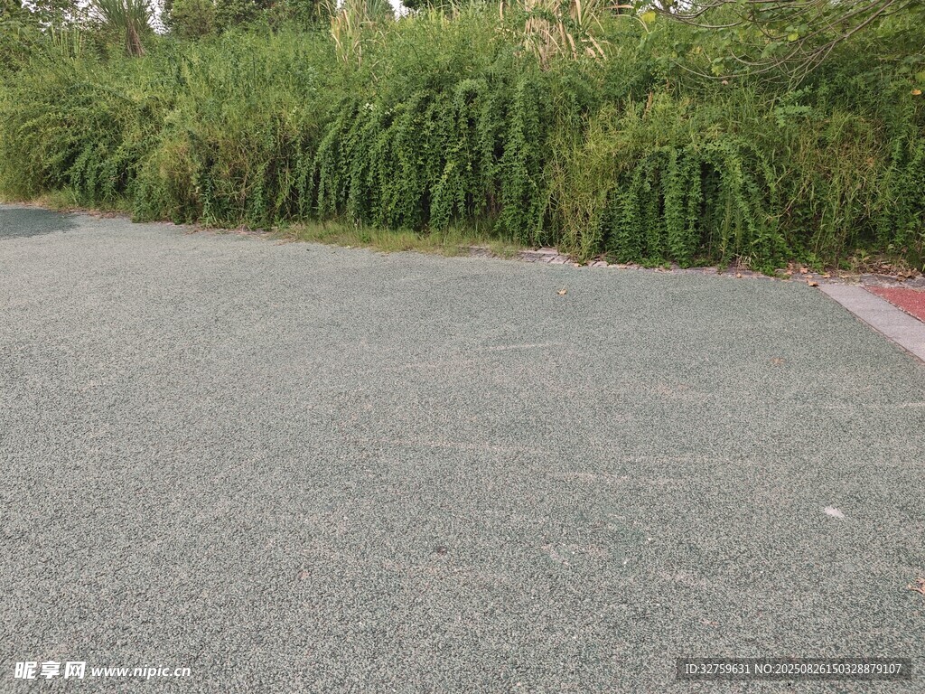 空旷柏油路面与绿植