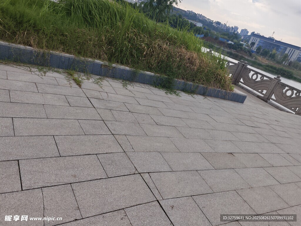 户外石板路与绿植景观