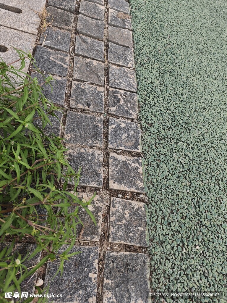 石砖与绿植旁的地面景观
