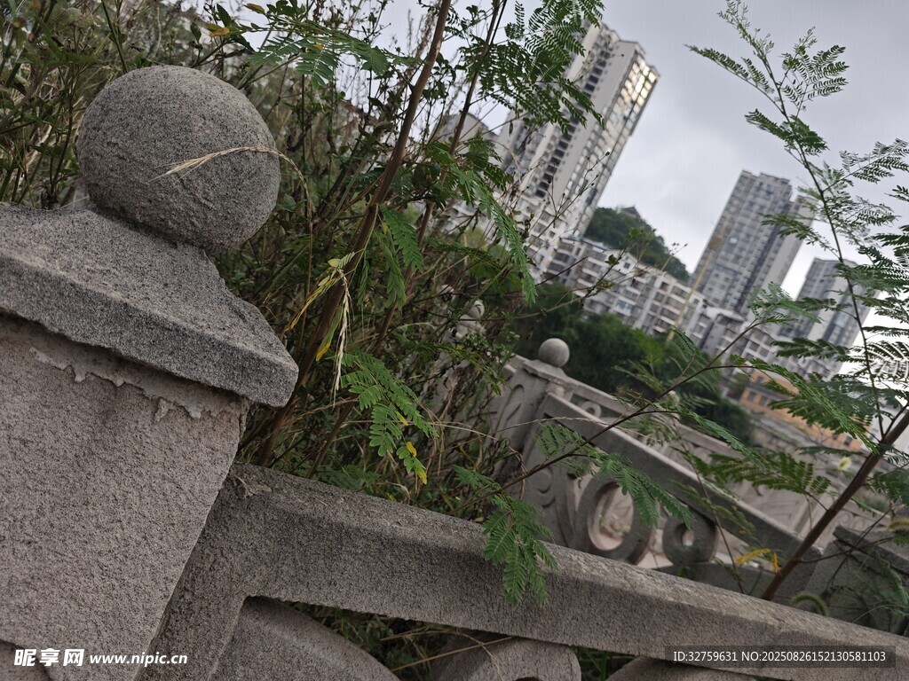 石栏边生长的繁茂绿植