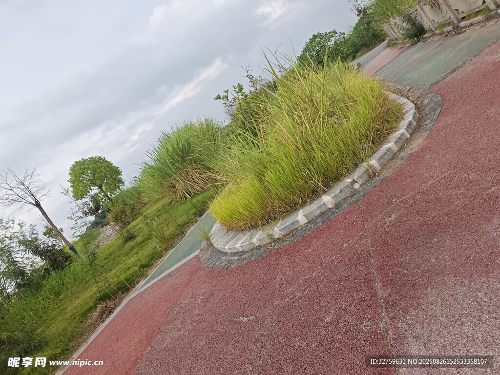公园彩色步道旁绿植景观