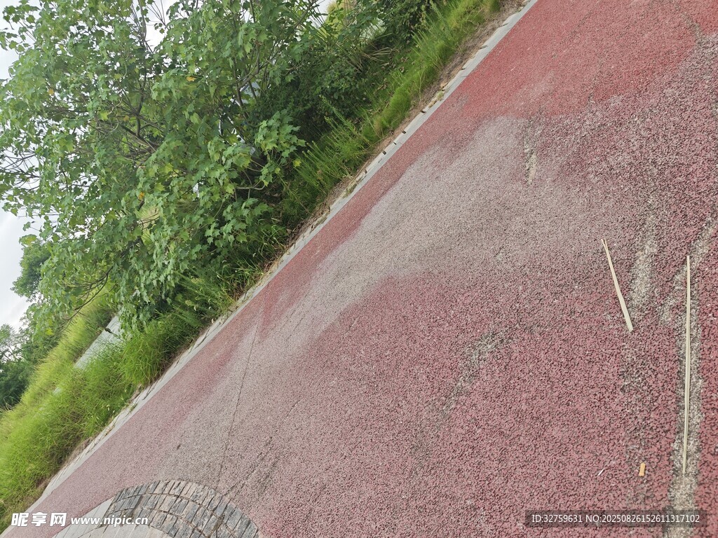 红色路面旁的葱郁绿植