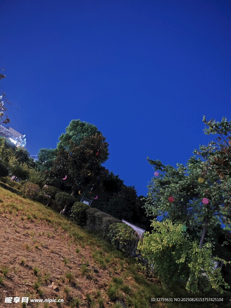 蓝天绿树间的山坡景致