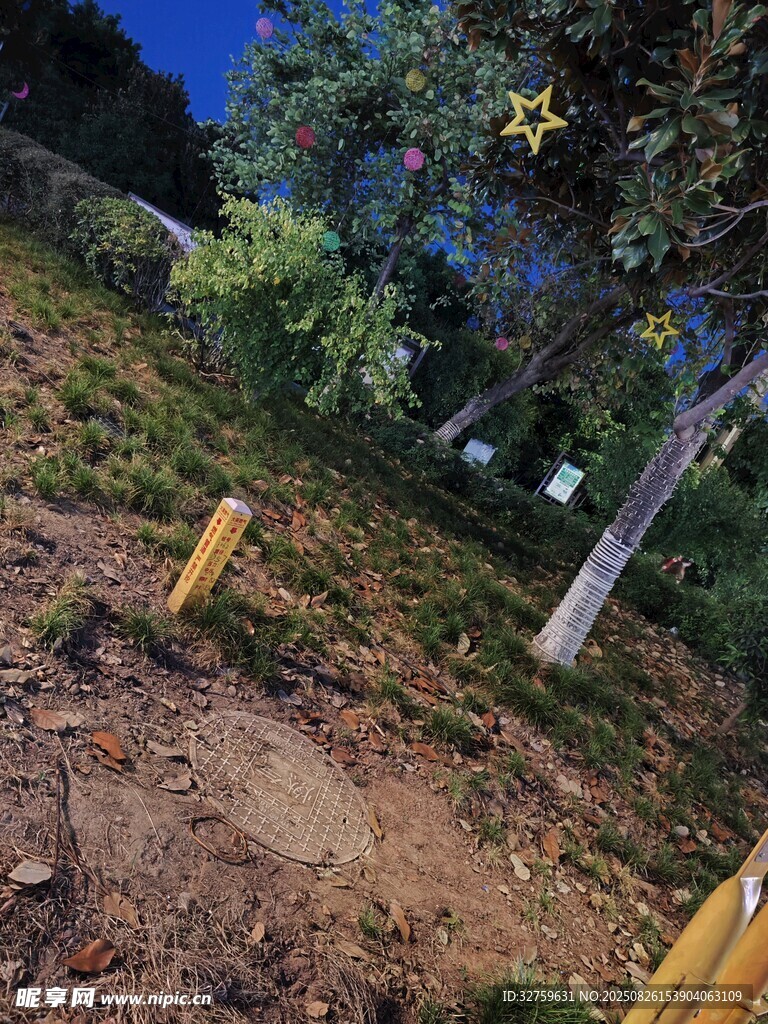 户外森林中的黄色标识物
