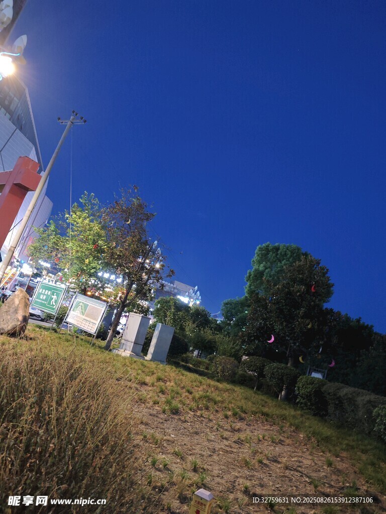 户外夜景中的设施与草木