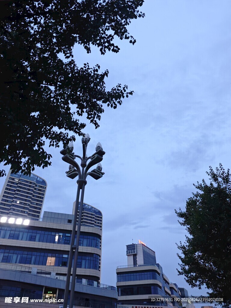 城市夜景中的建筑与树木