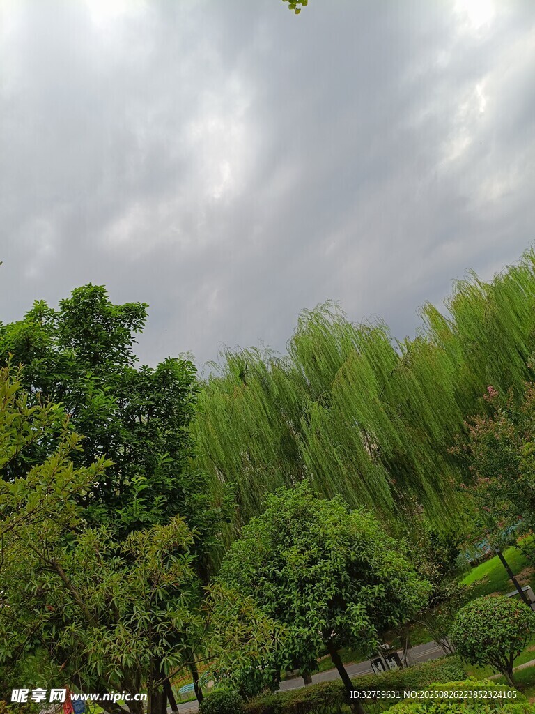 绿树成荫的多云户外景致