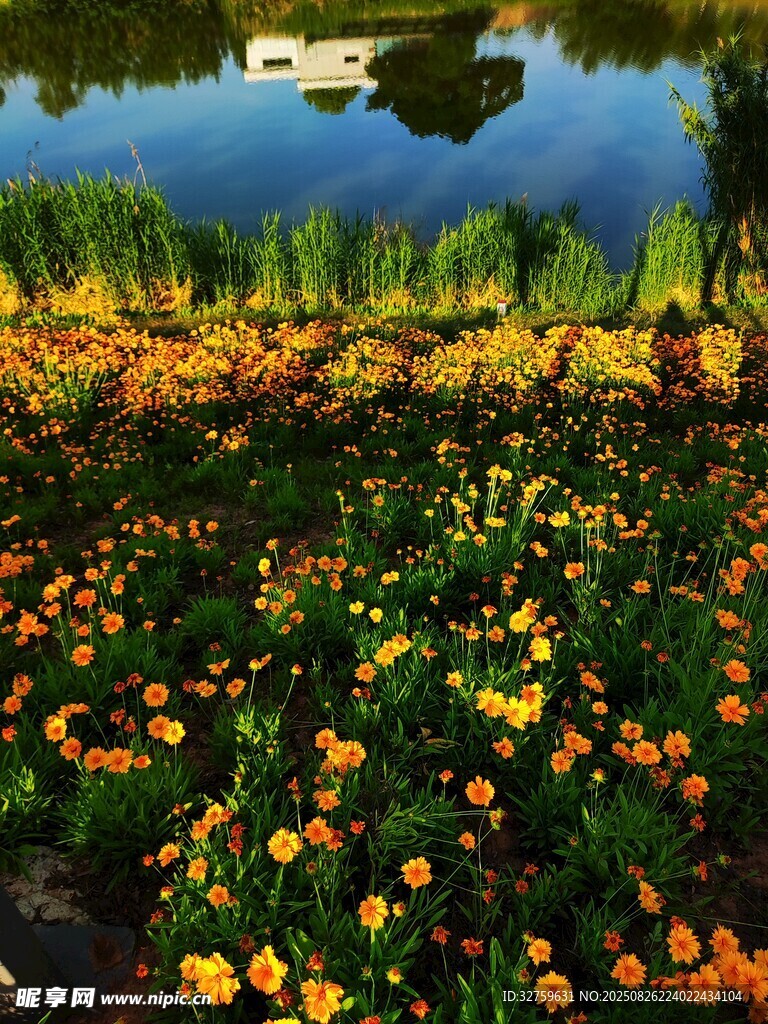 湖畔繁花美景