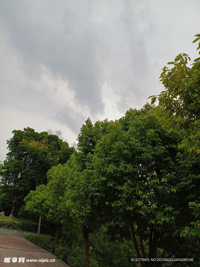 绿树成荫的户外小路