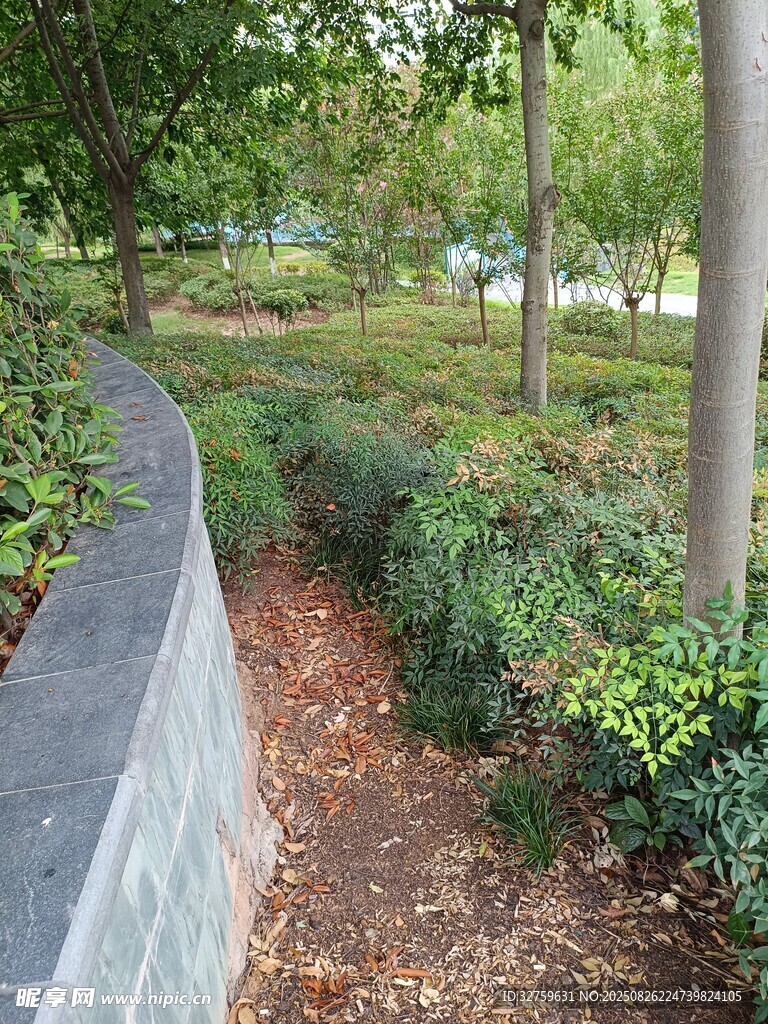 园林小径旁绿植景观