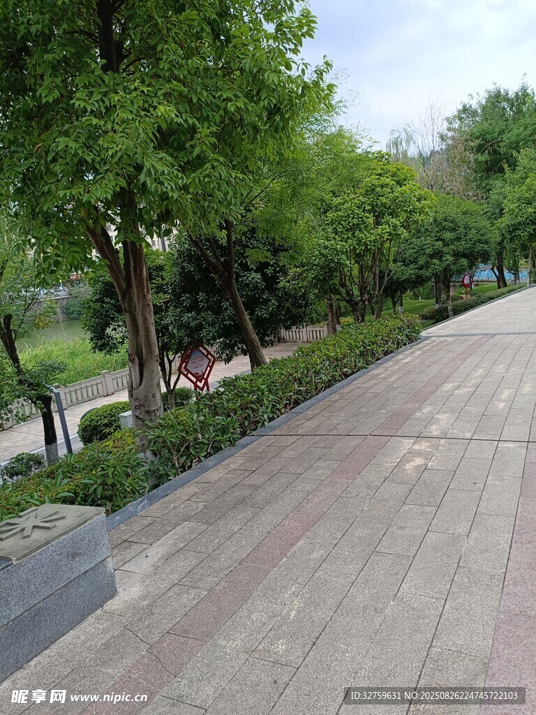 公园林荫步道景色