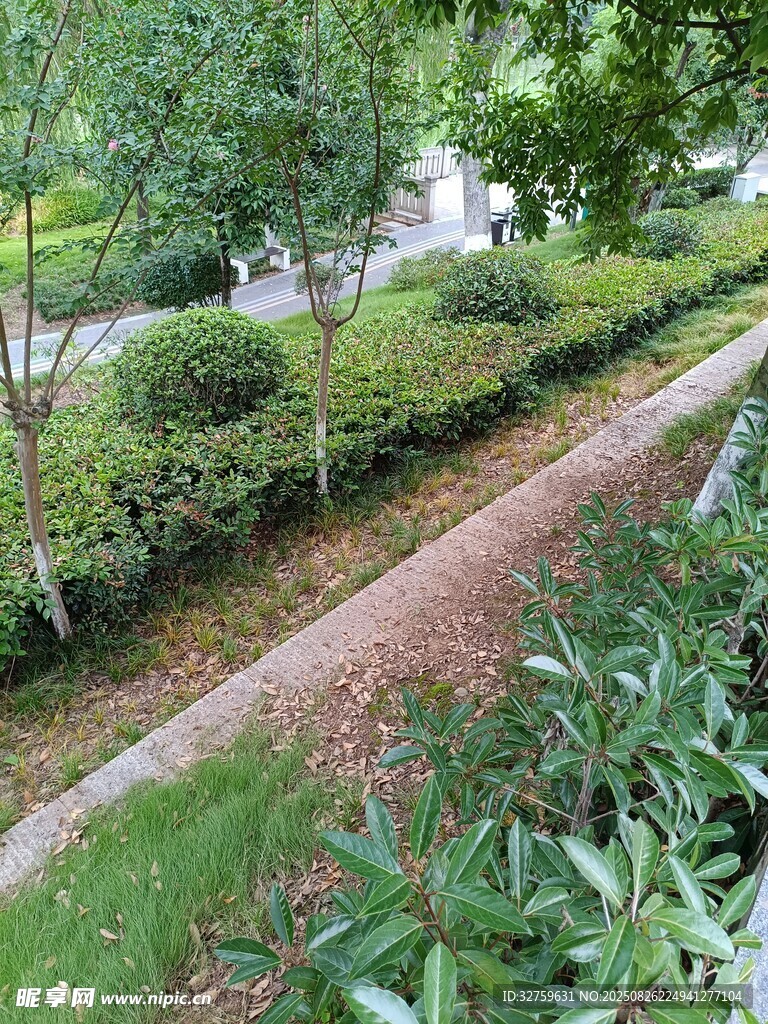 城市绿化带景观一角