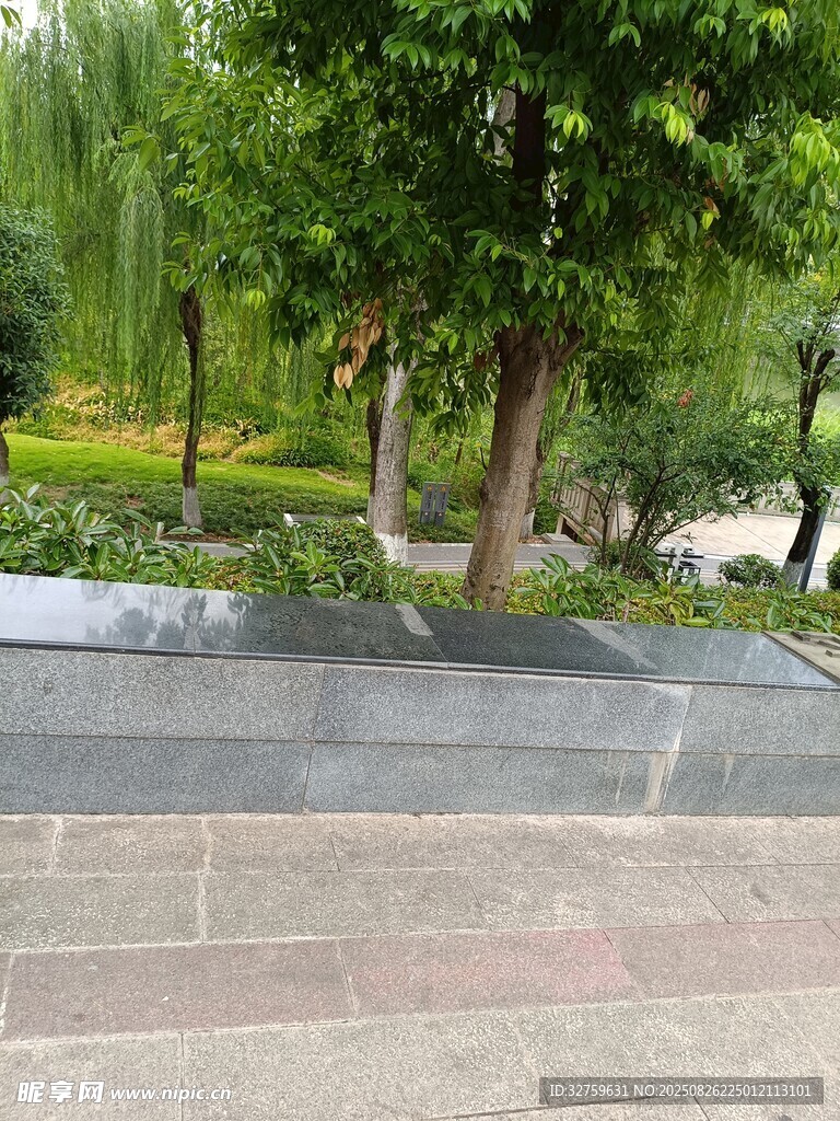 公园中的绿树与石板步道
