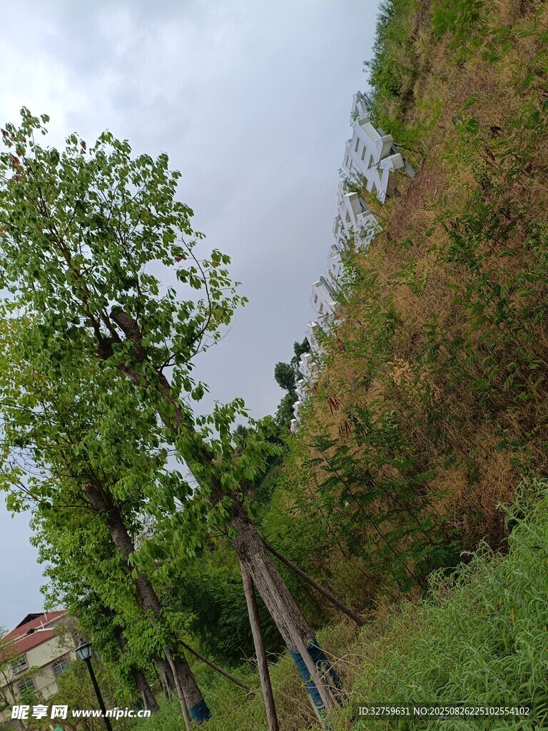 乡村路旁绿树与斜坡景致