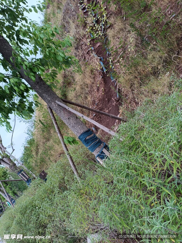 山间悬挂的独特休闲吊床