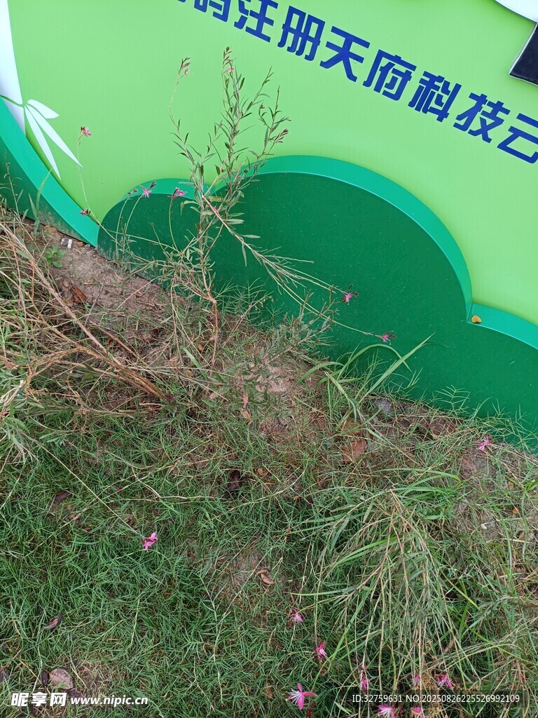 绿色广告牌旁的草丛景象