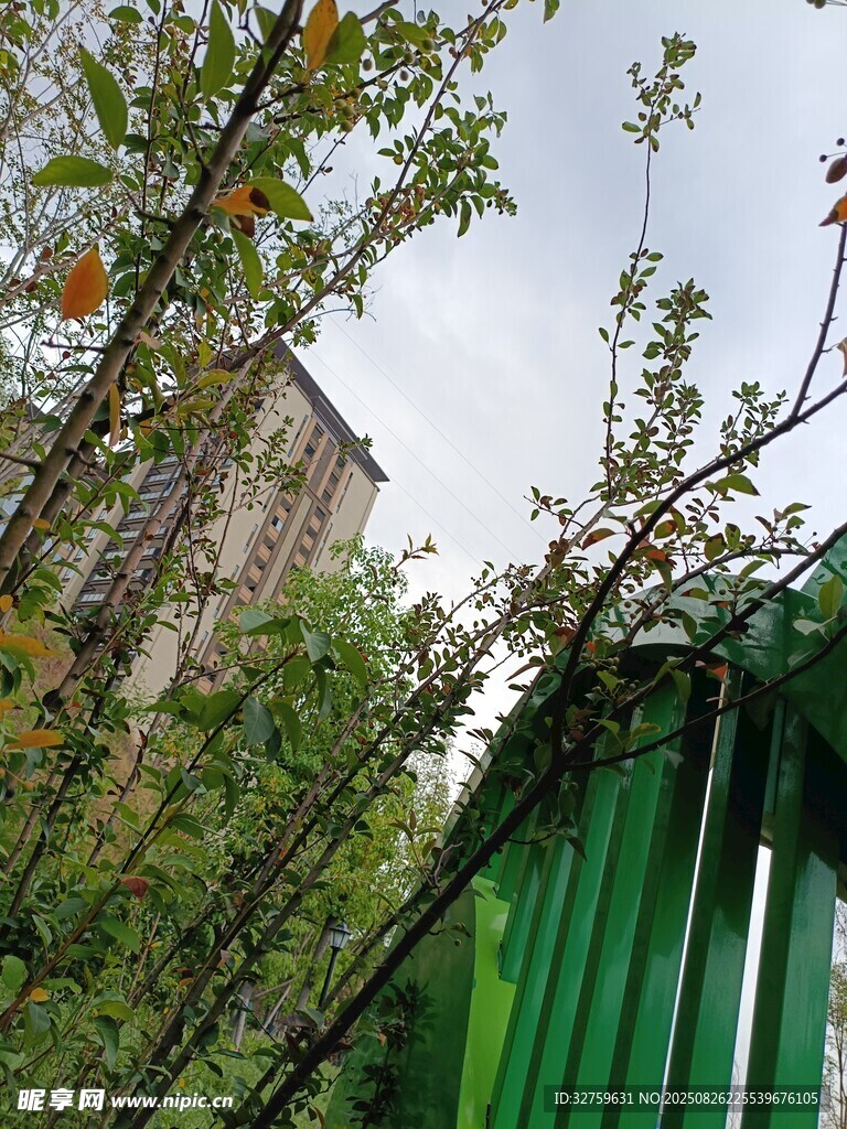 绿叶间的绿植与建筑一角