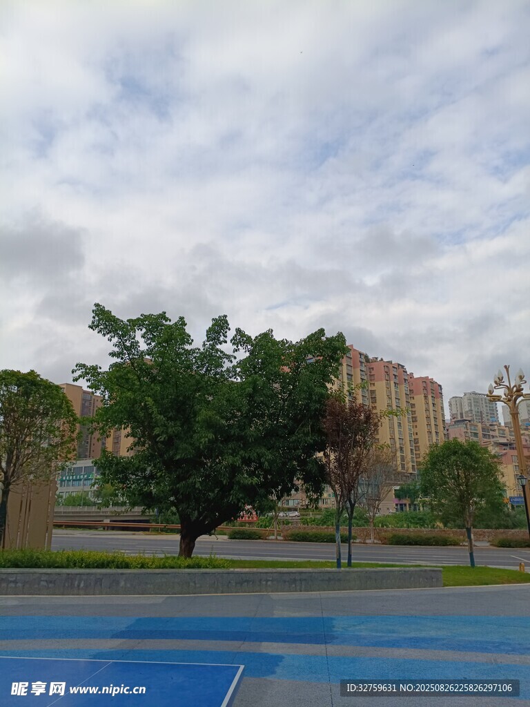 户外蓝球场旁的绿树建筑