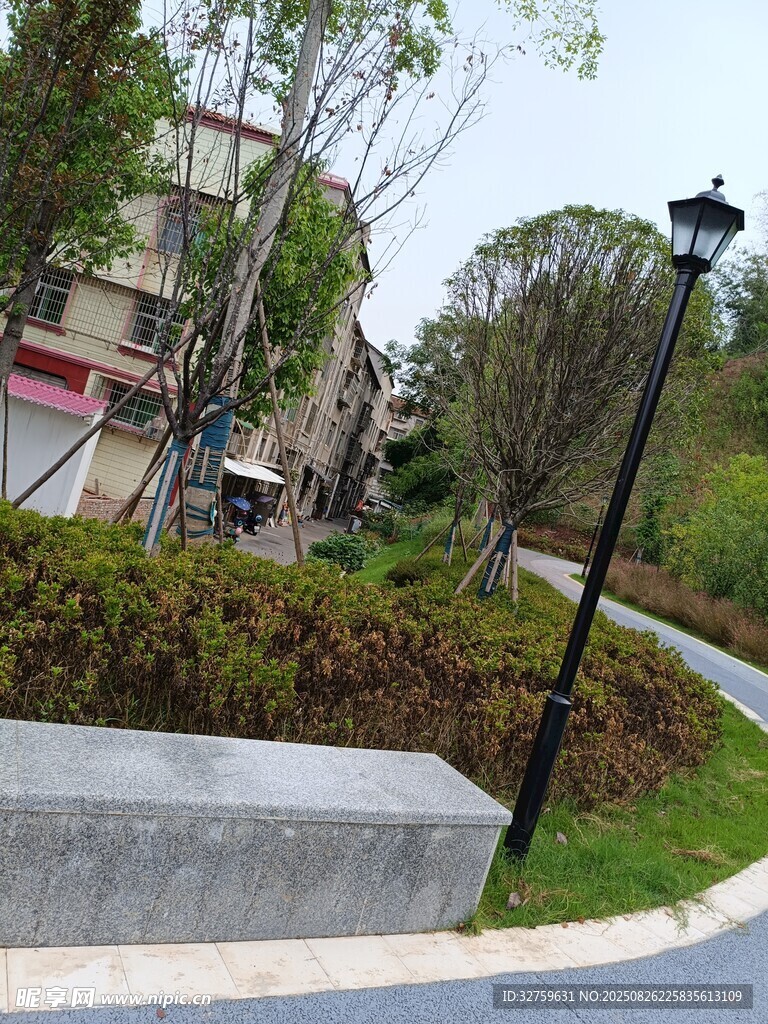 城市公园中的静谧小径
