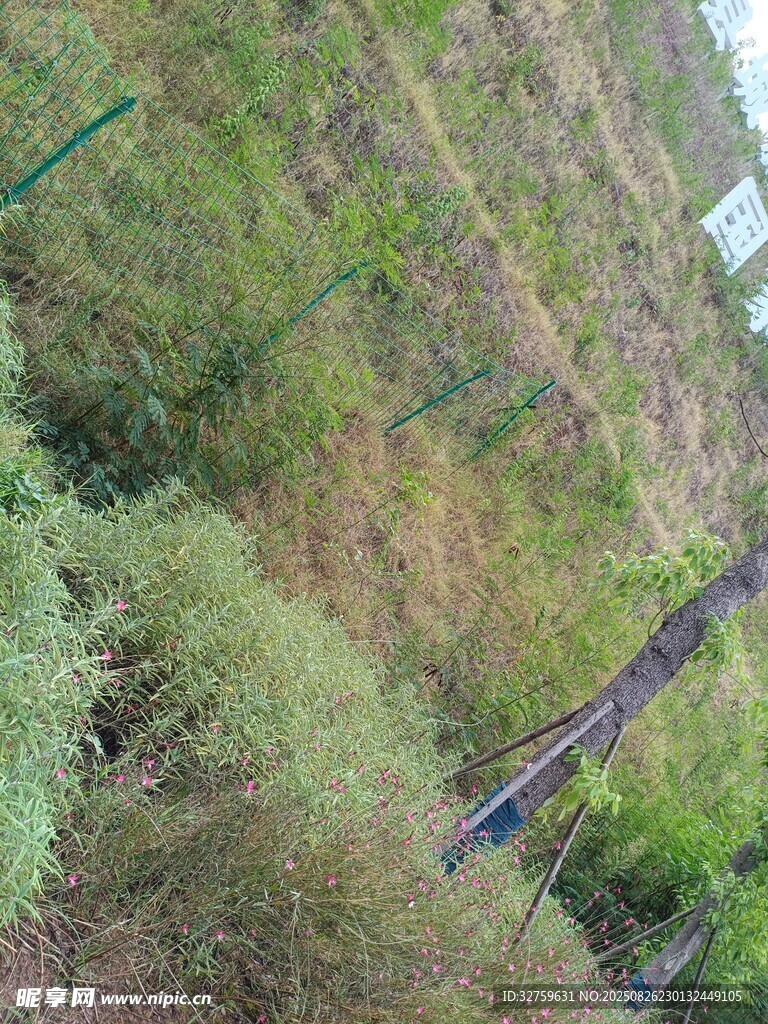 山间绿植与木质设施景观