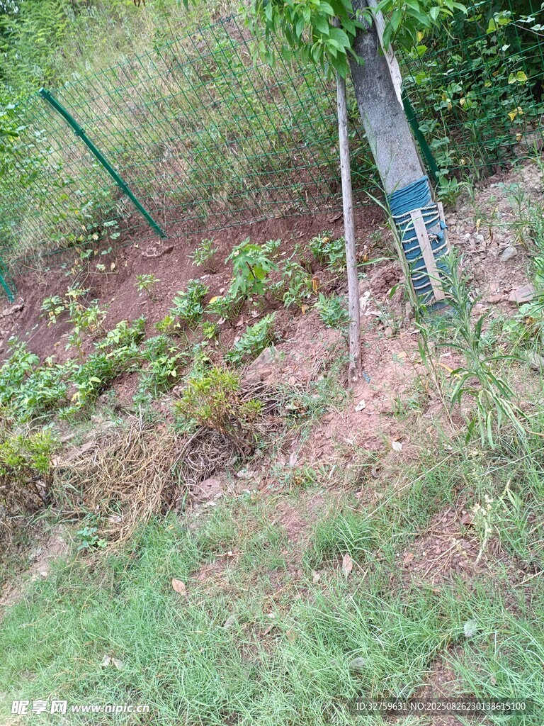 户外绿植与倾斜标牌场景