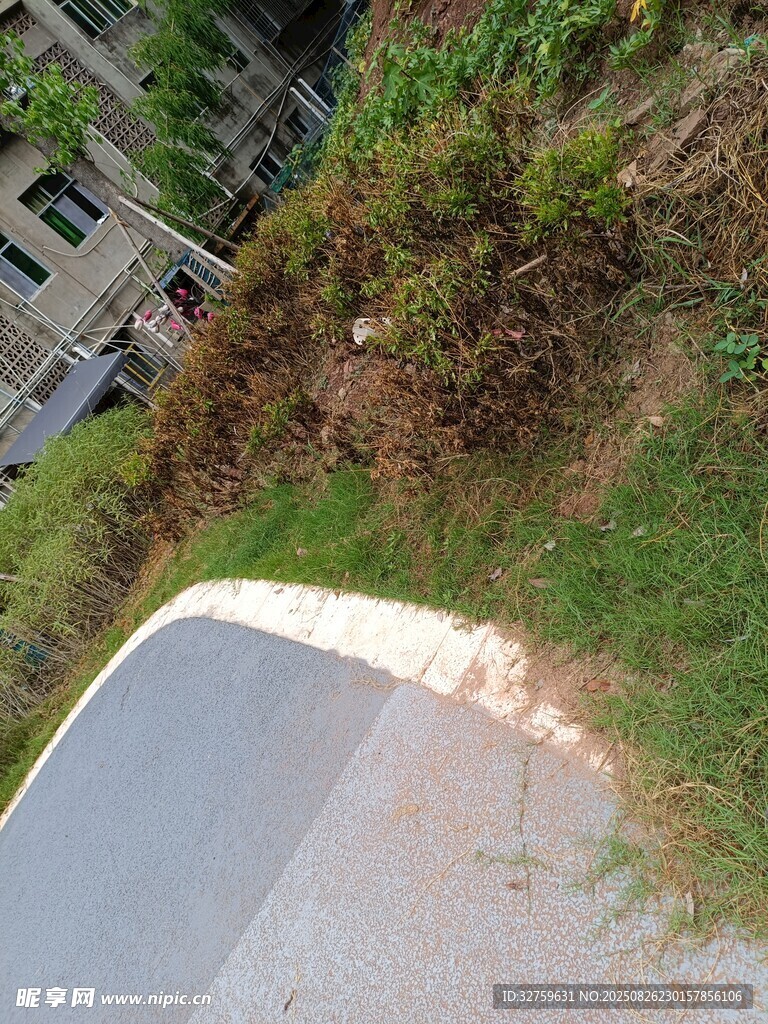 路边草地与路面场景