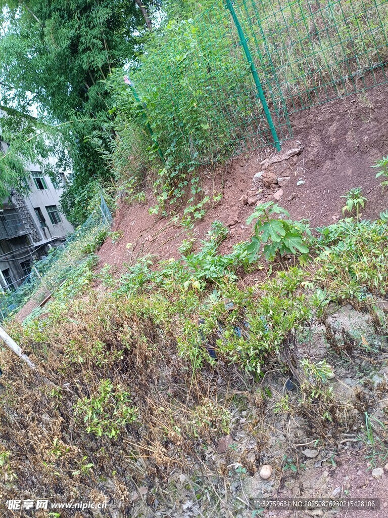 山坡绿植景观