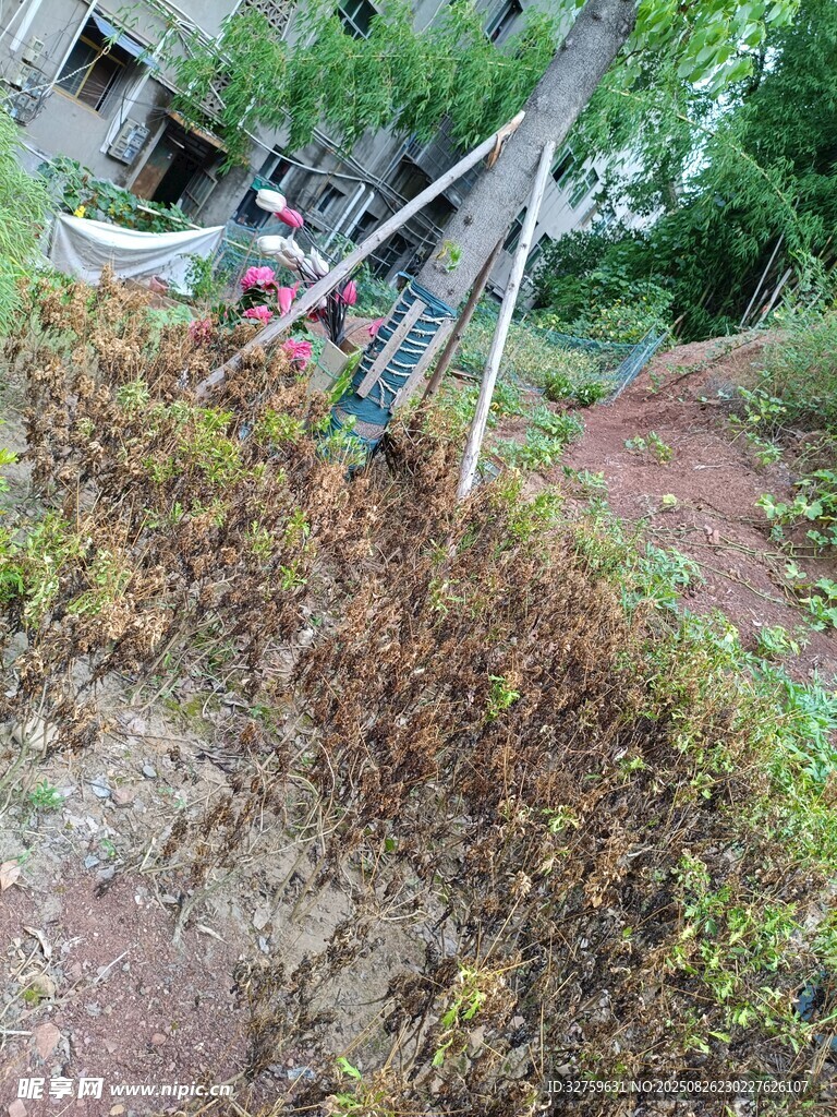 田间绿植与农机设备