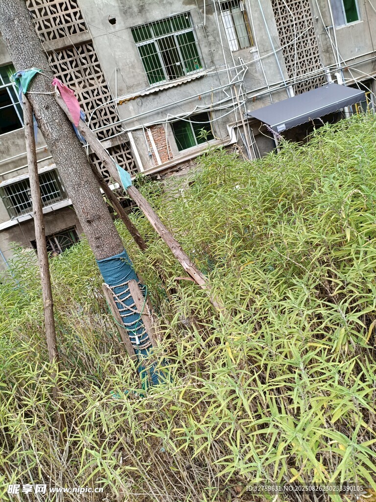 老旧建筑旁的杂草与设施
