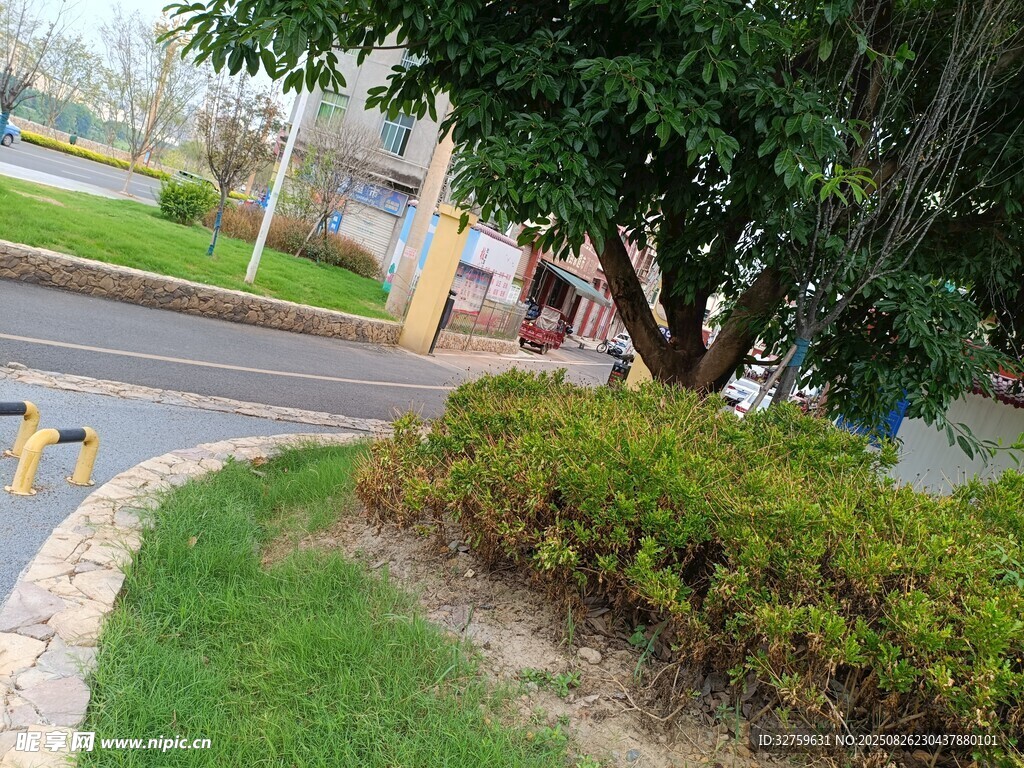 小区路边绿植景观一角