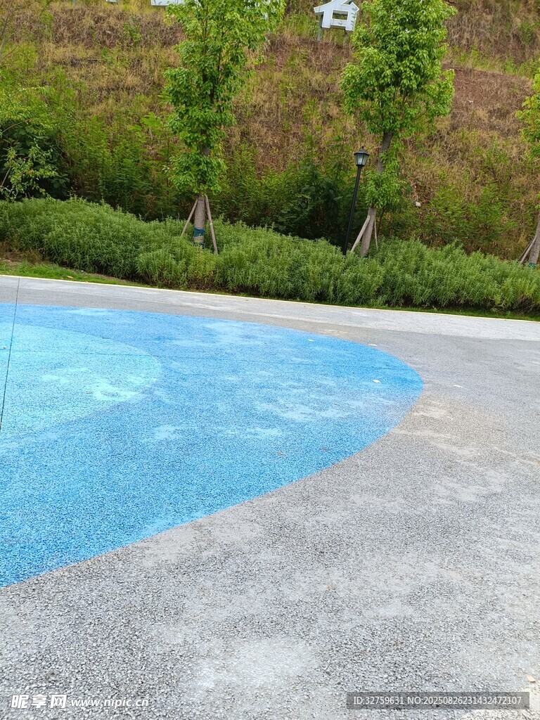 户外清澈泳池与绿植景观