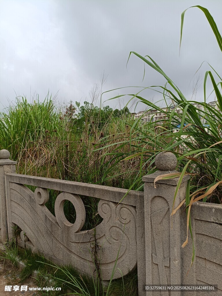 石栏旁的茂盛野草