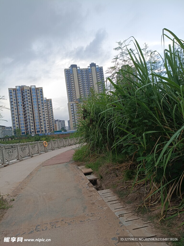 城郊小路旁的高楼与绿植