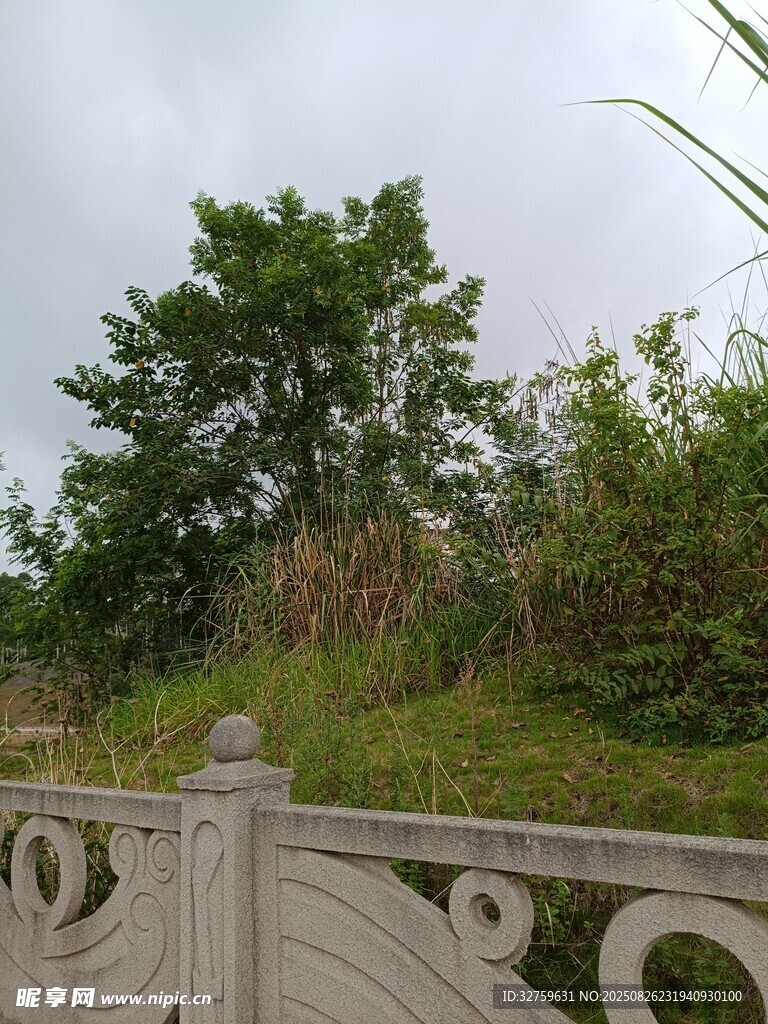 户外绿植与石质围栏景观