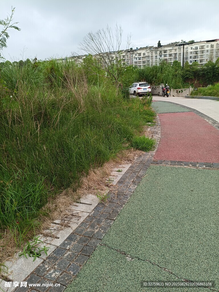 路边彩色步道旁的绿植