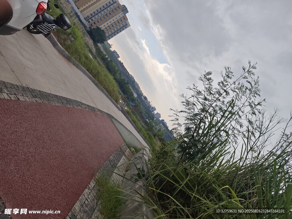 户外骑行旁的绿植小路