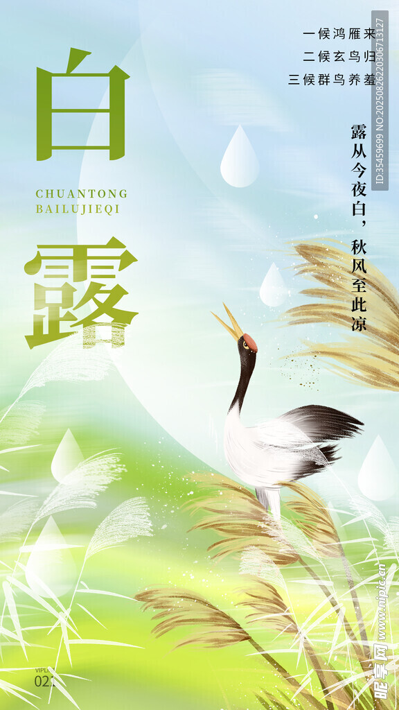  白露